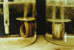 Anti-calcaire D-CALC