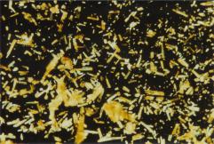 D-CALC anti-tartre D-CALC anti-tartre